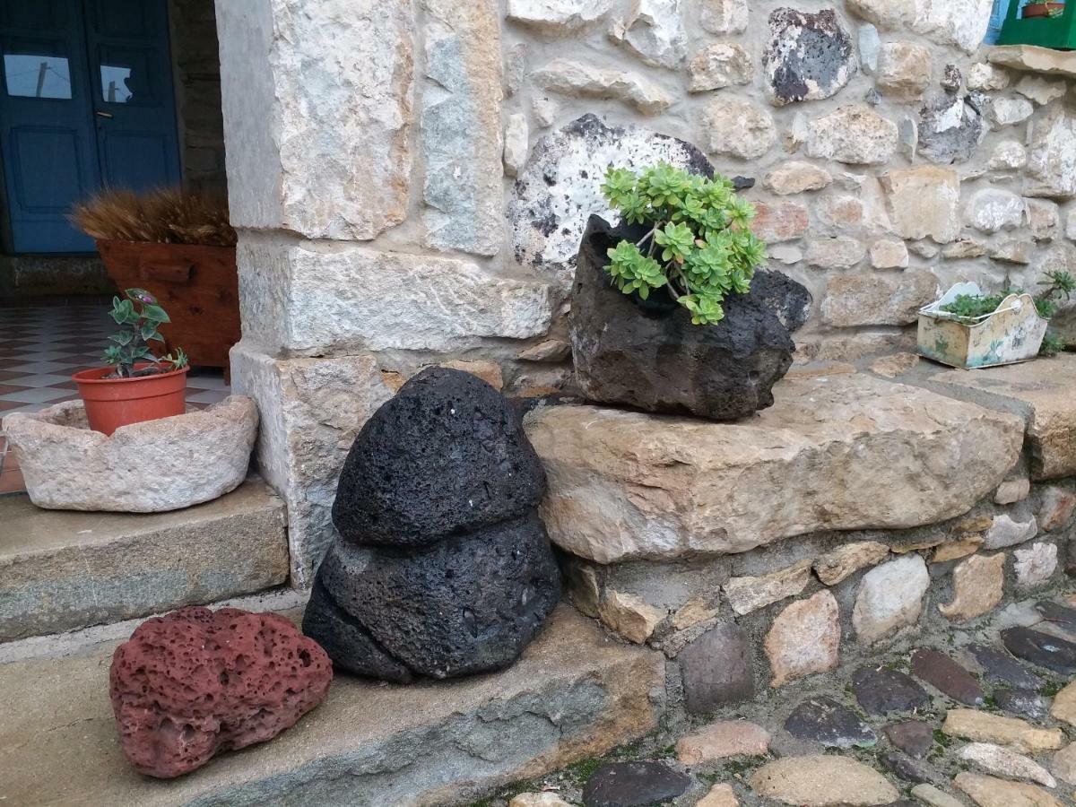 Hotel Sa Domu De Ziu Antoneddu Tuili Zewnętrze zdjęcie